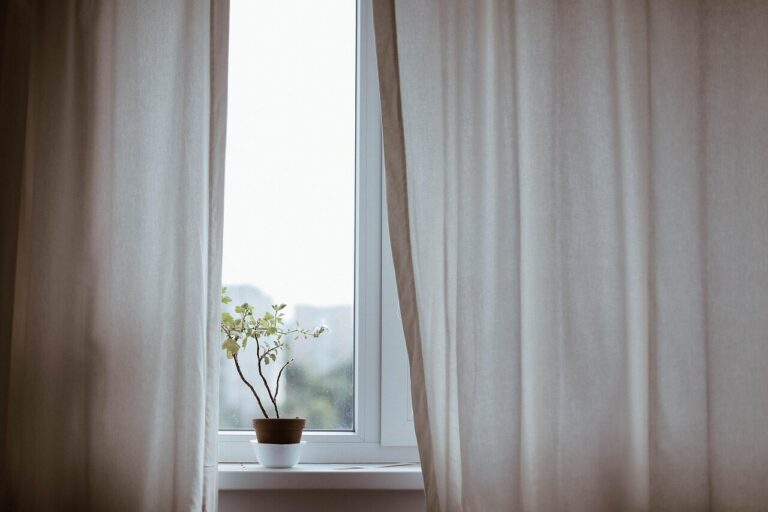 curtains, decoration, indoors, nature, plant, potted plant, window, minimalist, minimalistic, interior decoration, indoor plant
